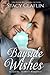 Bayside Wishes (The Bayside Hunters, #1) by Stacy Claflin
