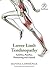 Lower Limb Tendinopathy: Achilles, Patellar, Hamstring & Gluteal (Colour Version)