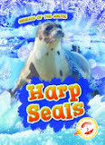 Harp Seals (Animals of the Arctic)