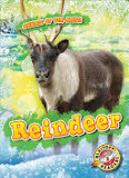 Reindeer (Animals of the Arctic)