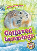 Collared Lemmings (Animals of the Arctic)