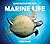 Close Encounters with Marine Life by Nigel Marsh