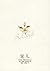 宠儿 by Toni Morrison