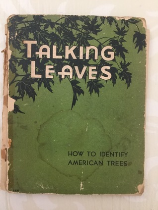 Talking Leaves How to Identify American Trees