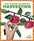 Harvesting (Way to Grow! Gardening)