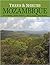 Trees and Shrubs of Mozambique by John Burrows