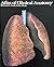 Atlas of Clinical Anatomy