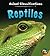 Reptiles (Animal Classifications)