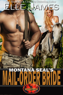 Montana SEAL's Mail-Order Bride (Brotherhood Protectors, #12)