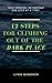 12 Steps for Climbing Out of the Dark Place: Overcoming Depression One Step at a Time