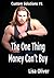 The One Thing Money Can't Buy (Custom Solutions #1)