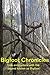 Bigfoot Chronicles