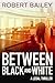 Between Black and White (McMurtrie and Drake Legal Thrillers, #2)