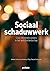 Sociaal schaduwwerk. Over i...