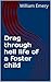 Drag through hell life of a foster child by William Emery