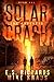 The Collapse (Solar Crash, #1)