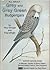 All about Grey and Grey Green Budgerigars by Roy Stringer