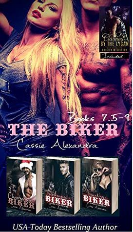 The Biker Series Boxed Set (Books 7.5 - 9)