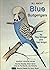 All about Blue Budgerigars ...