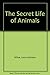 The Secret Life of Animals
