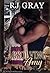 Absolving Amy (Triple A #2)