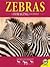 Zebras: A Foraging Journey