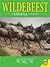 Wildebeest: A Savanna Journey