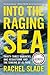 Into the Raging Sea: Thirty-Three Mariners, One Megastorm, and the Sinking of El Faro
