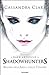 Regina dell'aria e delle tenebre by Cassandra Clare