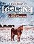 A Kid's Guide to Iceland