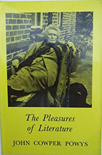 The Pleasures of Literature (Paperback)