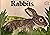 Rabbits