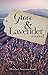 Grace & Lavender (Springville Stories)
