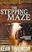 The Stepping Maze (Dan Kotler)