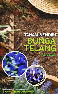 Tanam Sendiri Bunga Telang