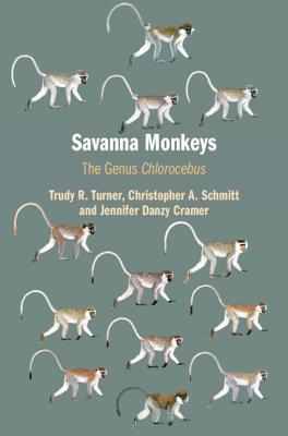 Savanna Monkeys: The Genus Chlorocebus (Hardcover)