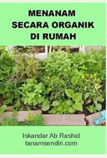 Menanam Secara Organik di Rumah