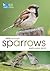 RSPB Spotlight Sparrows by Amy-Jane Beer