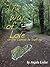 The Way of Love: on the Camino de Santiago (Memoir series)