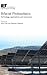 Bifacial Photovoltaics: Technology, applications and economics (Energy Engineering)