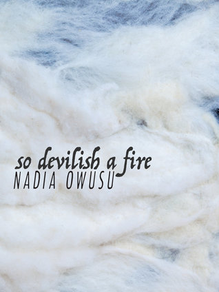 So Devilish a Fire (Paperback)