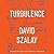 Turbulence: A Novel