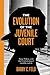 The Evolution of the Juvenile Court: Race, Politics, and the Criminalizing of Juvenile Justice (Youth, Crime, and Justice, 4)