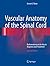 Vascular Anatomy of the Spinal Cord: Radioanatomy as the Key to Diagnosis and Treatment