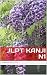 JLPT KANJI N1