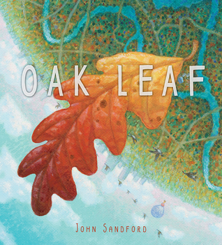 Oak Leaf: A Picture Book (Hardcover)