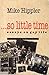So Little Time: Essays on Gay Life