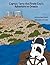 Captain Terry the Pirate Cow's Adventure to Greece by Helen Dogiakis