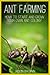 Ant Farming: How to Start and Grow Your Own Ant Colony