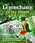 The Leprechaun In My House by Jay Zimmerman